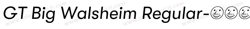GT Big Walsheim Regular字体转换